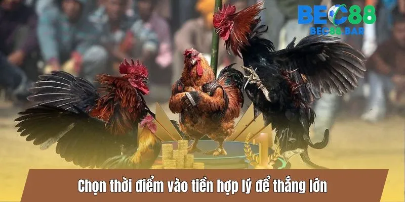 Chọn thời điểm vào tiền hợp lý để thắng lớn