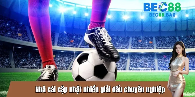 Nhà cái cập nhật nhiều giải đấu chuyên nghiệp