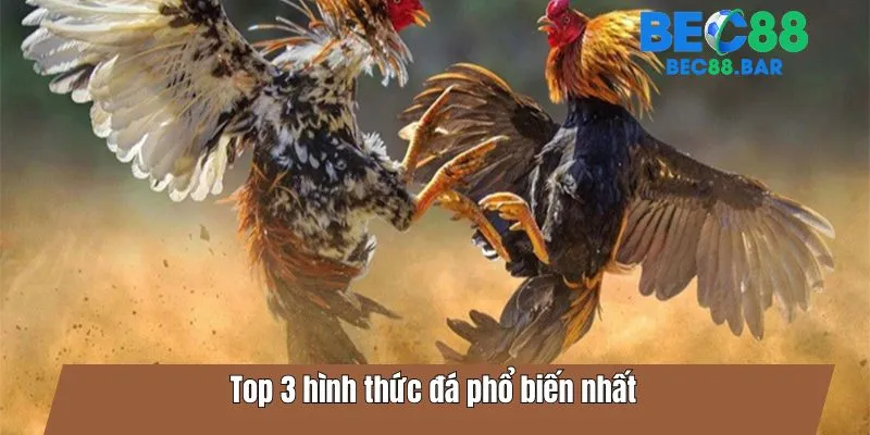 Top 3 hình thức đá phổ biến nhất